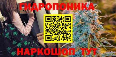 гидропоника Кумертау