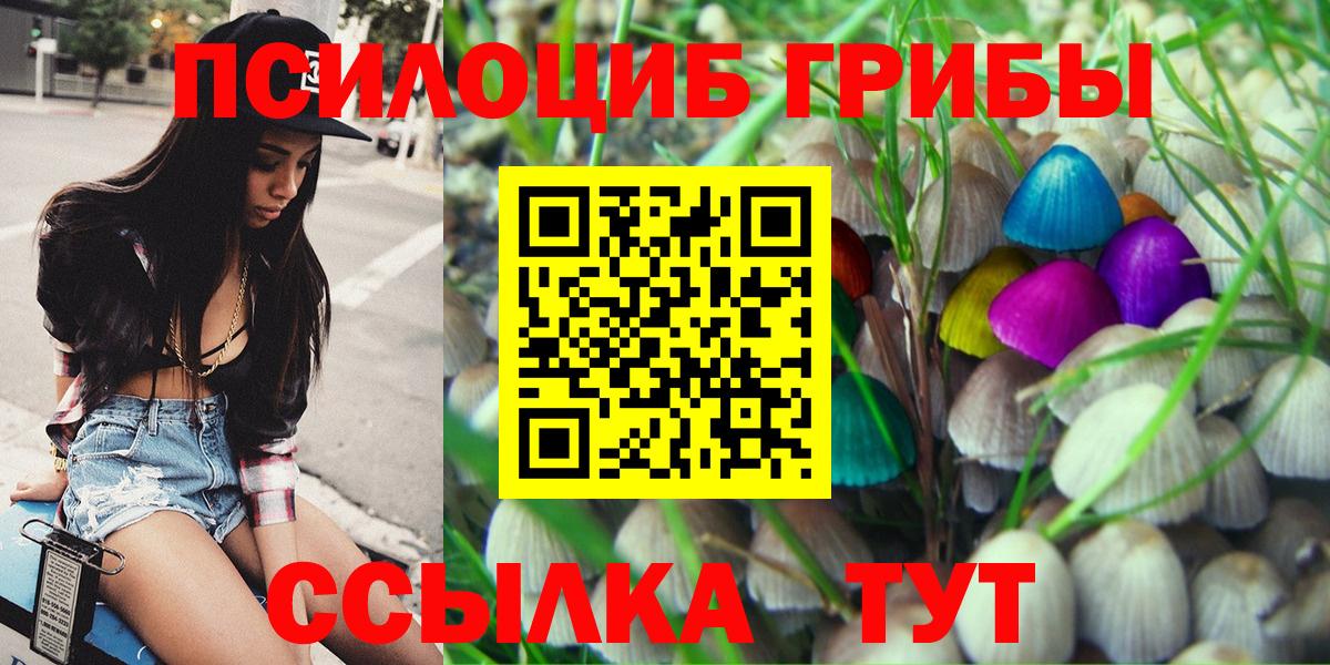 Псилоцибиновые грибы Psilocybe Тихвин