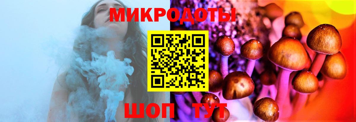 Псилоцибиновые грибы Psilocybe  Вход с VPN  Тихвин  Галлюциногенные грибы MAGIC MUSHROOMS 